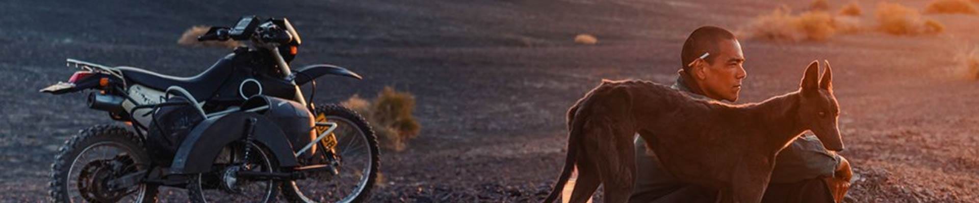 Movie Trailers page - banner